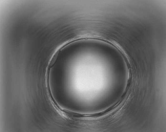 X0000058141246200509302010