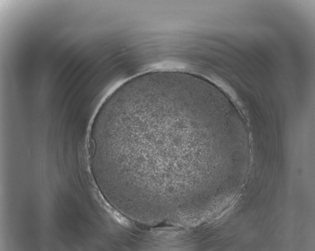 X0000058141248200509302010