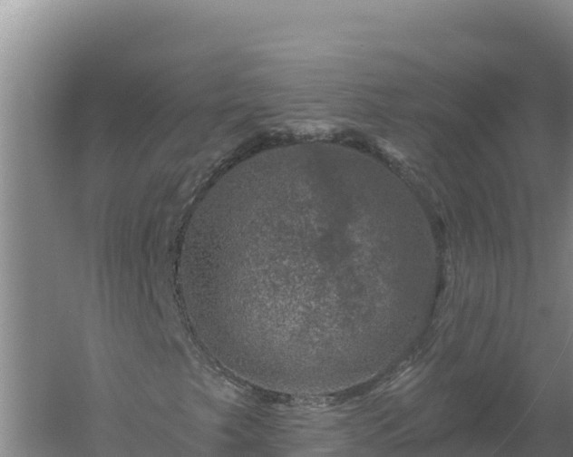 X0000058141249200509302010