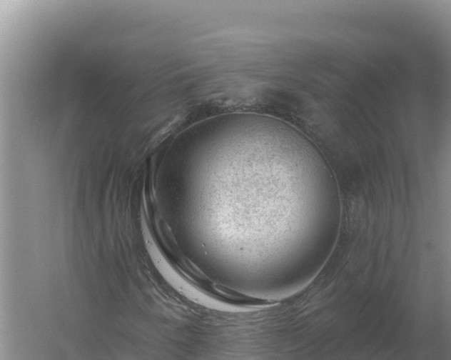 X0000058141250200509302010