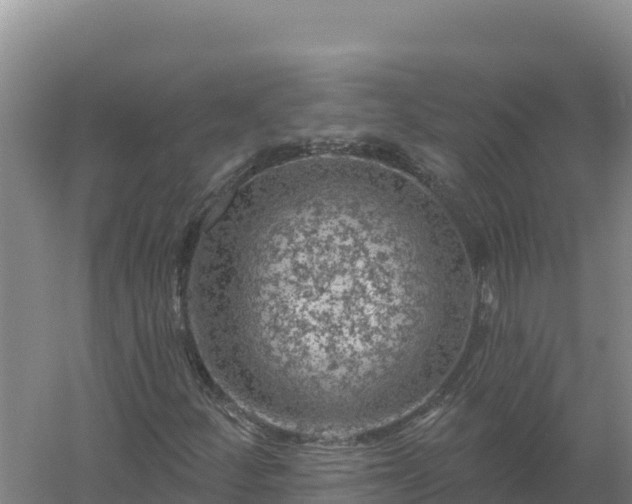 X0000058141252200509302010