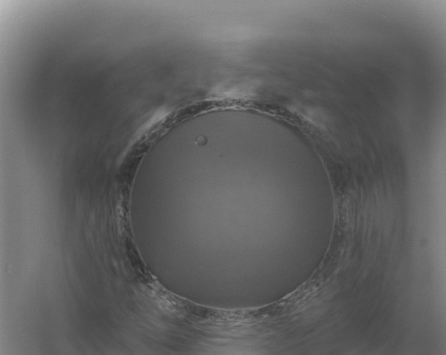 X0000058141254200509302010