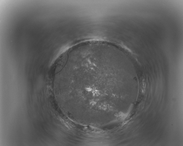 X0000058141255200509302010