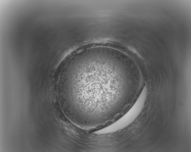 X0000058141256200509302010