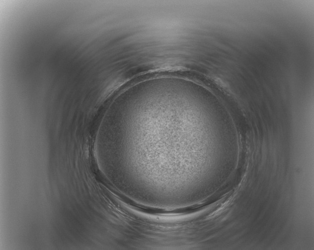 X0000058141257200509302010