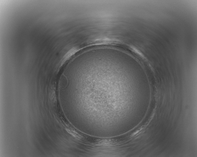 X0000058141259200509302009