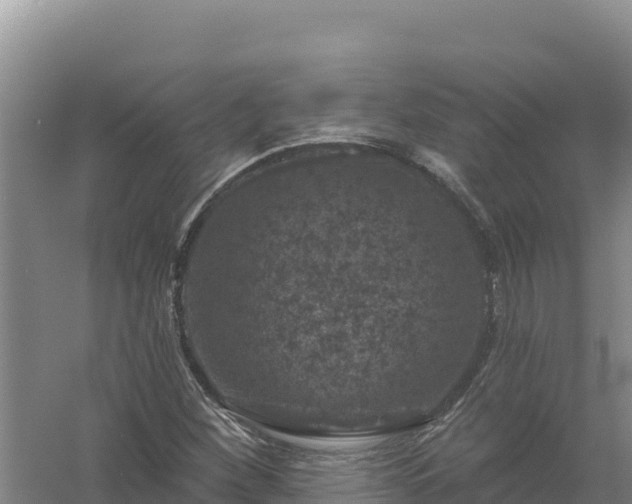 X0000058141260200509302009