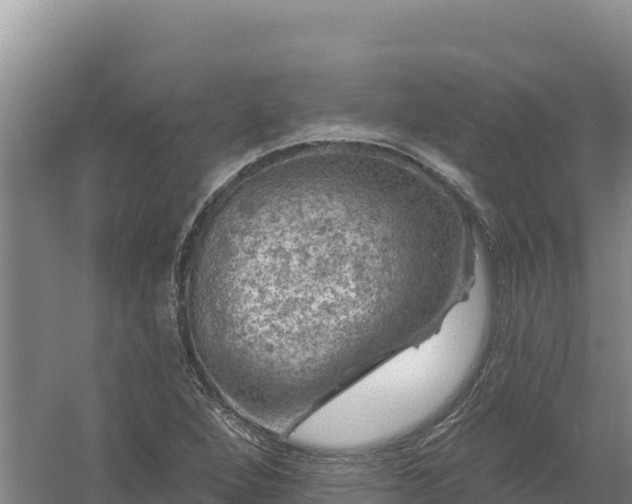 X0000058141264200509302009