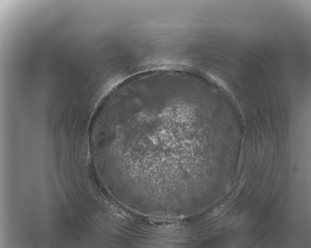 X0000058141267200509302009