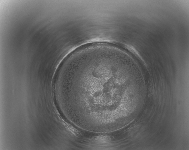 X0000058141268200509302009