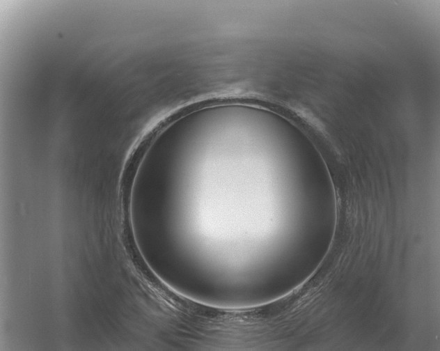 X0000058141270200509302009