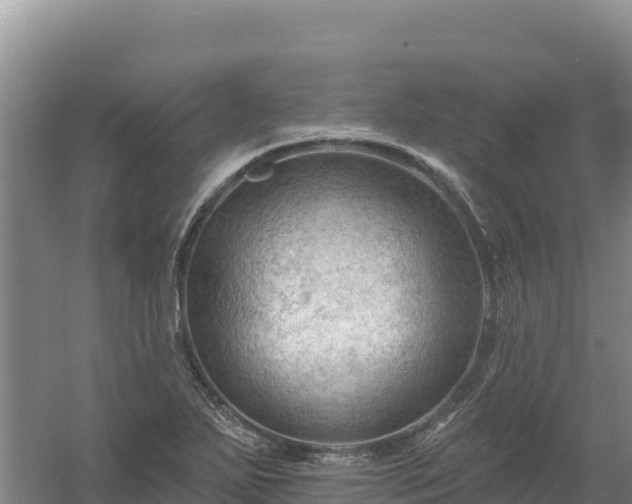 X0000058141271200509302009