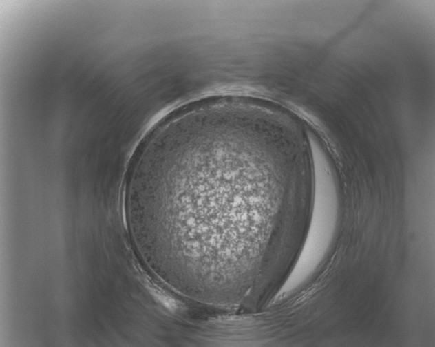 X0000058141272200509302009