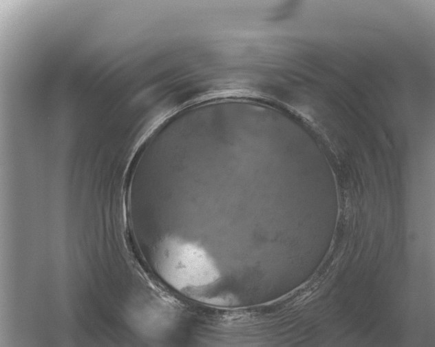 X0000058141274200509302009