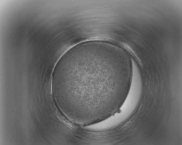 X0000058141276200509302009