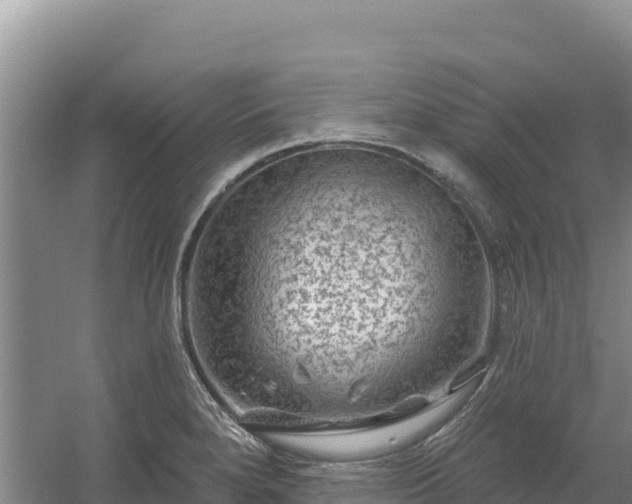 X0000058141280200509302009