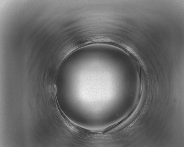 X0000058141281200509302009