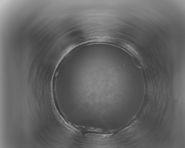 X0000058141283200509302009