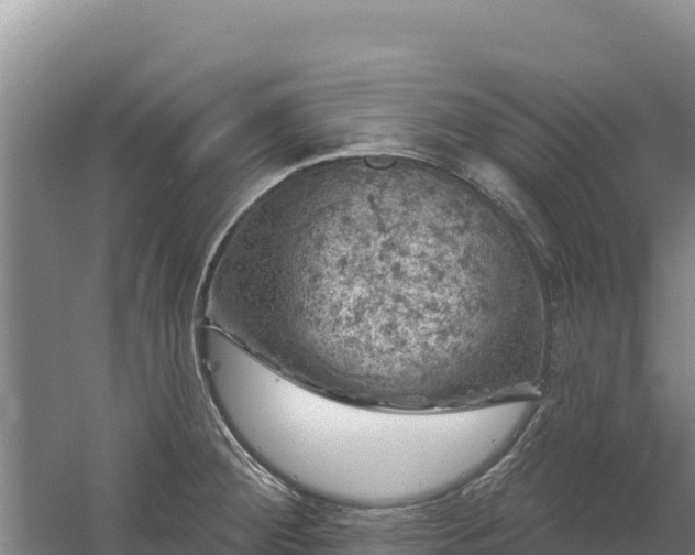 X0000058141284200509302009