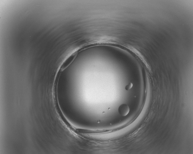 X0000058141285200509302009