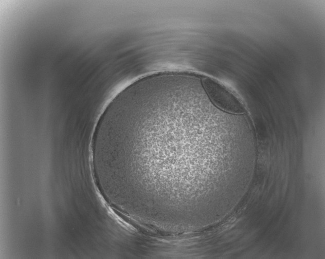 X0000058141287200509302009