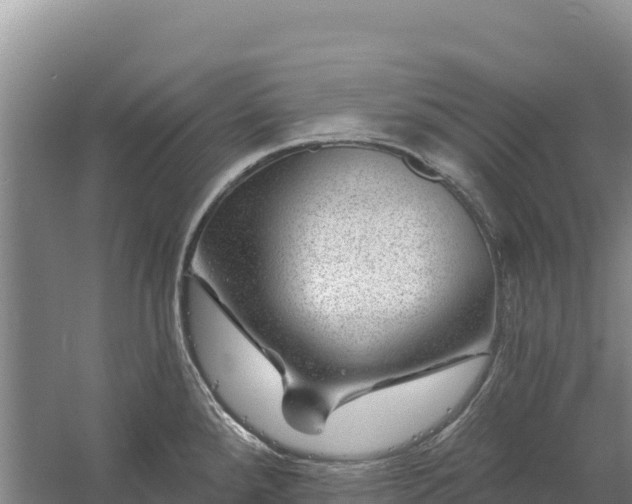 X0000058141288200509302009