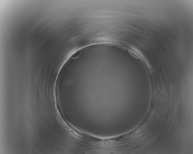 X0000058141291200509302009