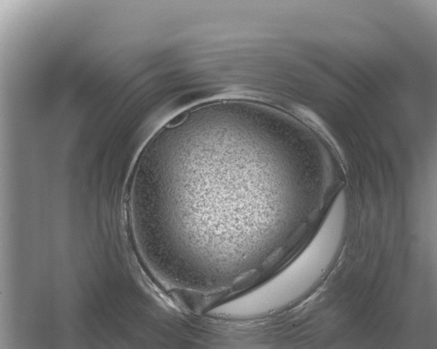 X0000058141292200509302009