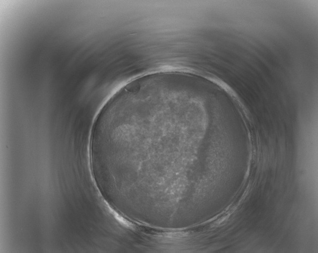 X0000058141294200509302009