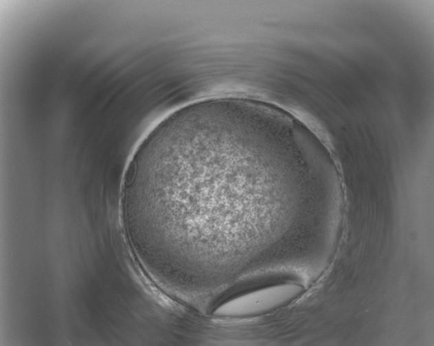 X0000058141296200509302009