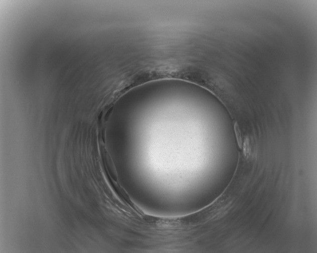 X0000058141299200509302008