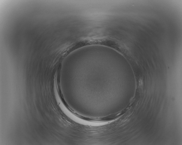 X0000058141300200509302008