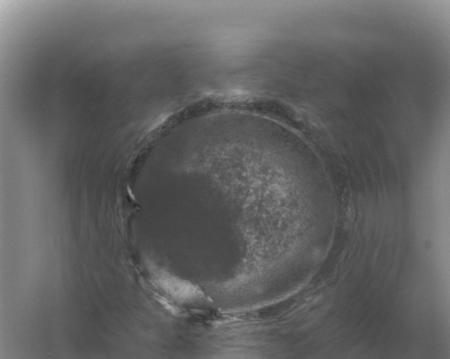 X0000058141301200509302008