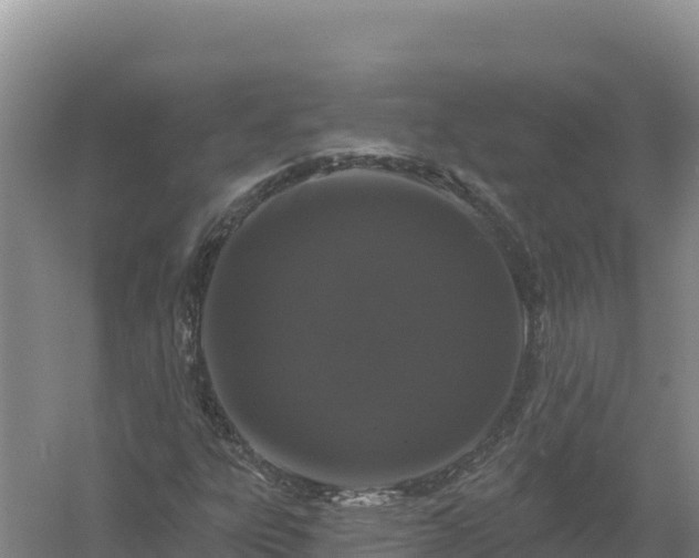 X0000058141303200509302008