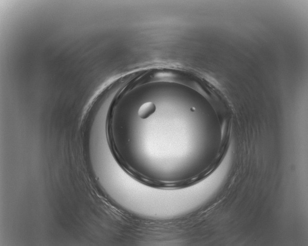 X0000058141310200509302008