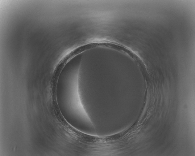 X0000058141311200509302008