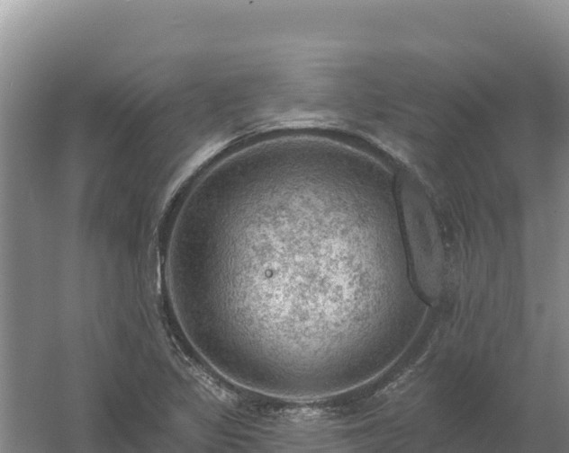 X0000058141317200509302008