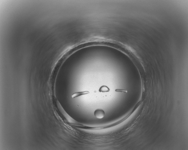 X0000058141318200509302008