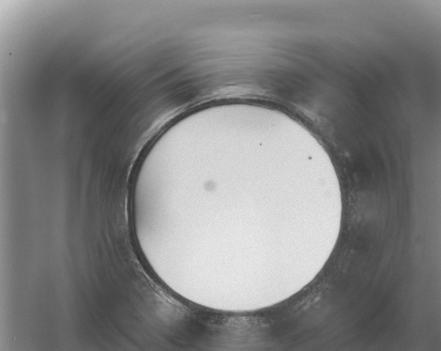 X0000058141322200509302008