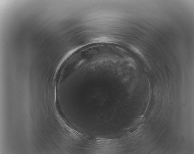 X0000058141323200509302008