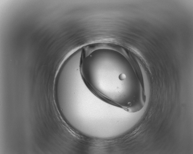 X0000058141324200509302008