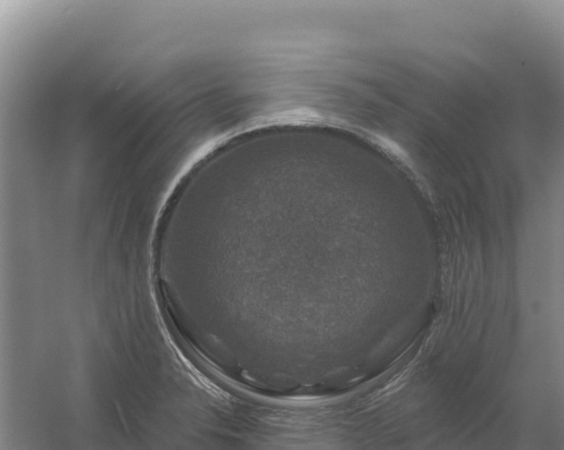 X0000058141326200509302009