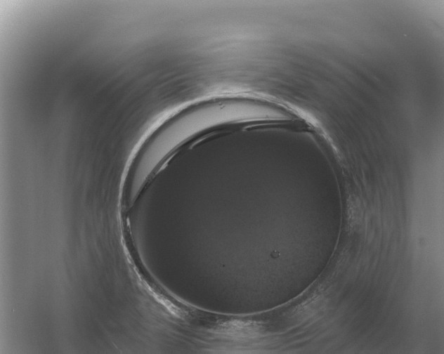 X0000058141327200509302009