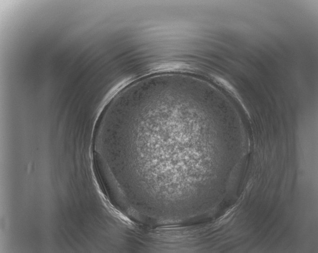 X0000058141330200509302009