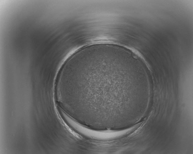 X0000058141333200509302009