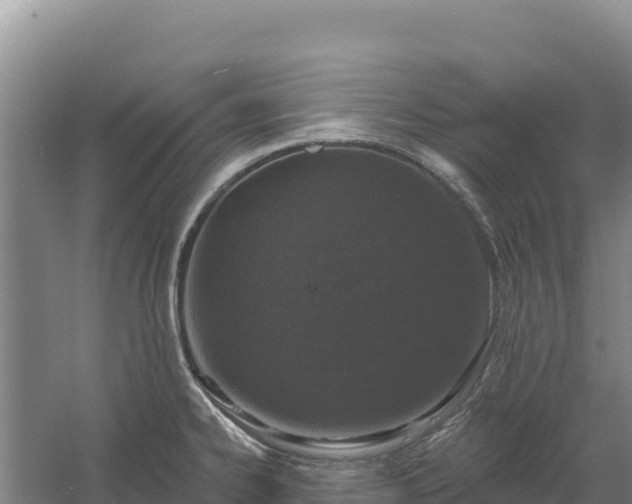 X0000058141334200509302009