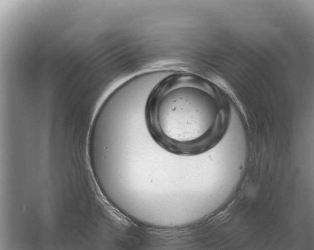 X0000058141336200509302009