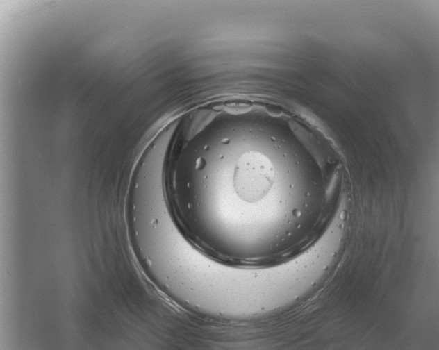 X0000058141338200509302009