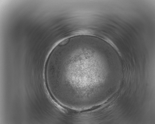 X0000058141339200509302009