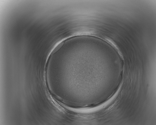 X0000058141340200509302009